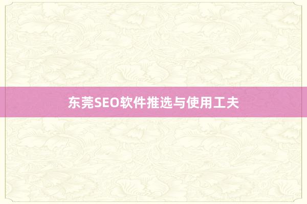 东莞SEO软件推选与使用工夫